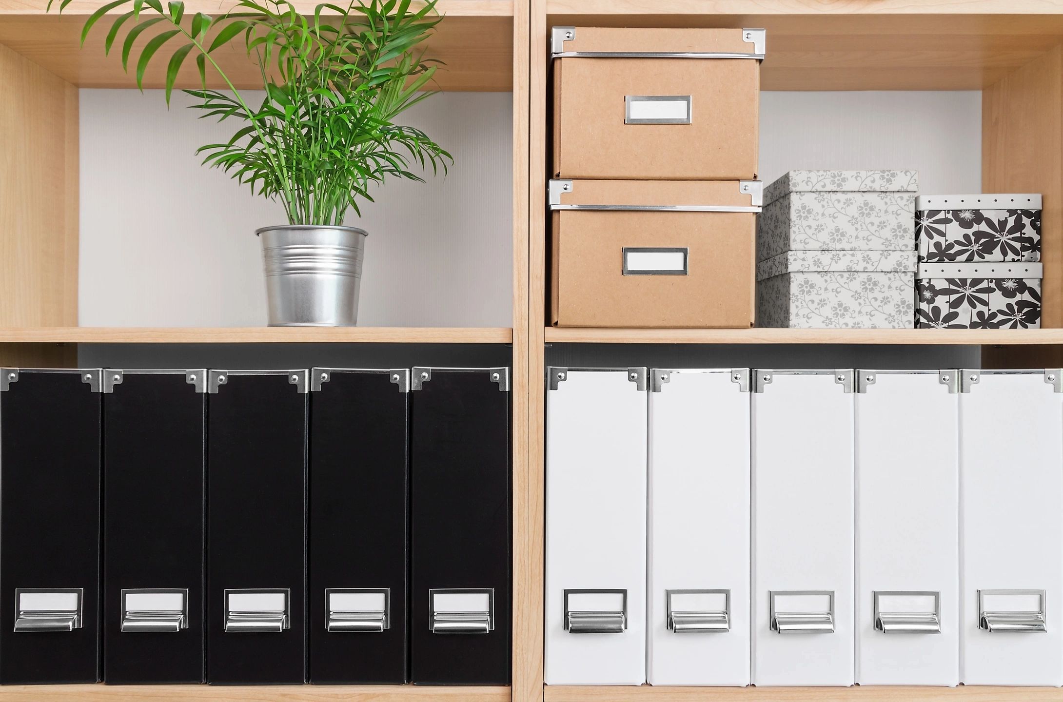 Home shelving with organized storage boxes